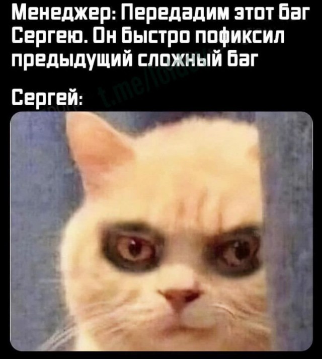 Чуток картинок 31.01.22