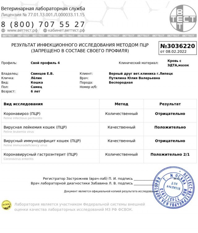 Жизнь домашнего приюта "Котоленд" 323