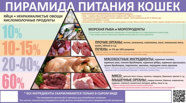 На ДВ нашли альтернативу импортному кошачьему корму