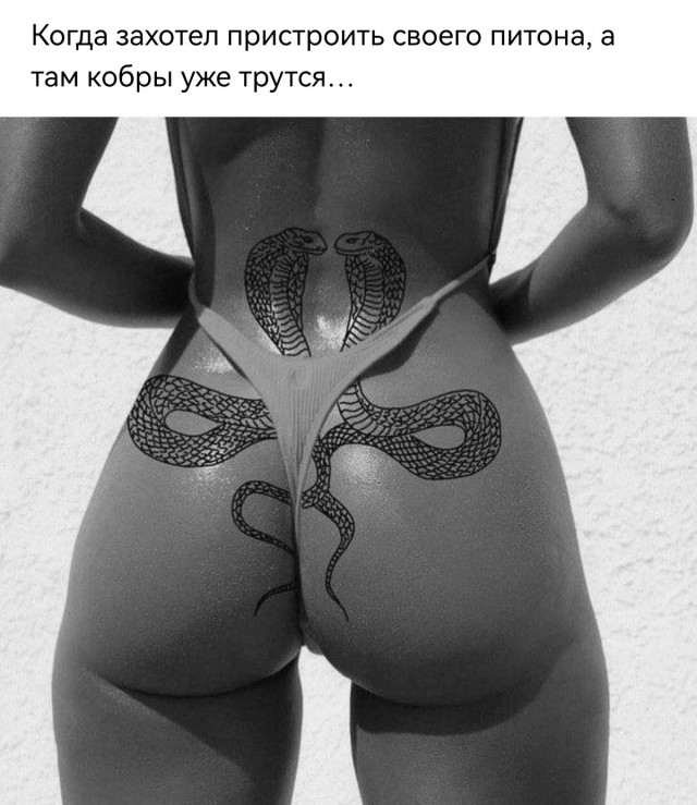 Картинки разные 25.04.2022