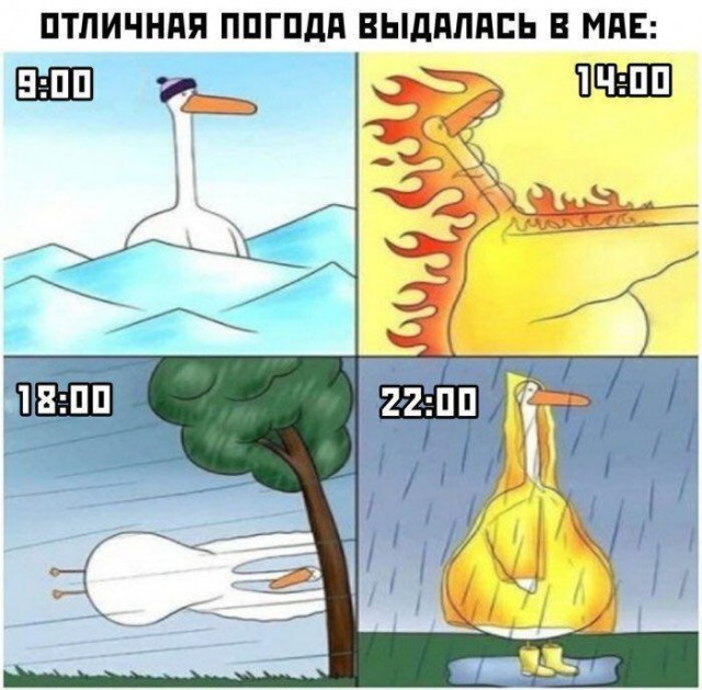 Веселые картинки!