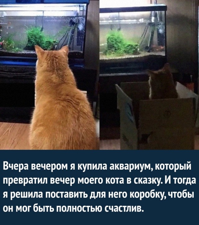 Картинки и мемы для настроения - 23