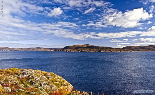 Териберка и окрестности...