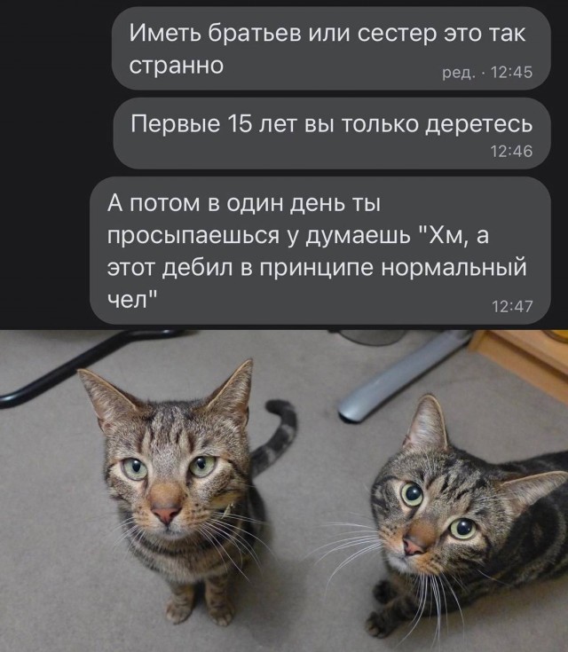 Немного мемчиков. Для взрослых. Часть 16