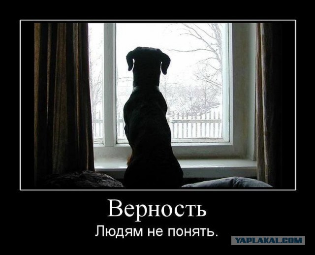 Грустное видео из Казахстана.