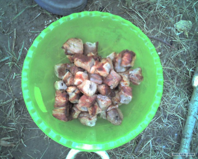 Хороший отдых