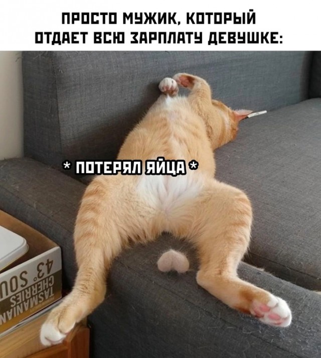 Немного картинок для настроения - 127