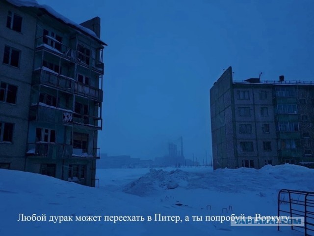 Картинок вам