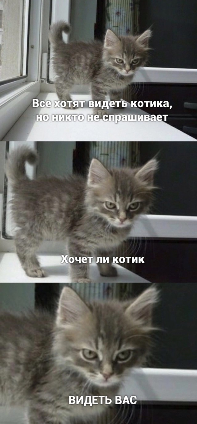 Так себе картинки 25.01.2023