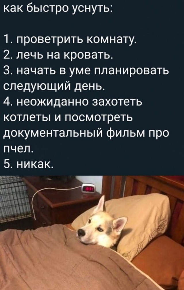 Немного картинок для настроения - 161