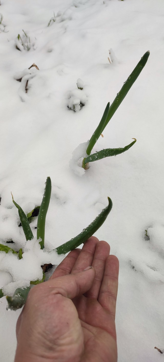 20.05.23. Восточная Сибирь...