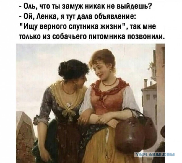 Как быть мужьям, чьи жены - "непьющие алкоголички"?⁠⁠