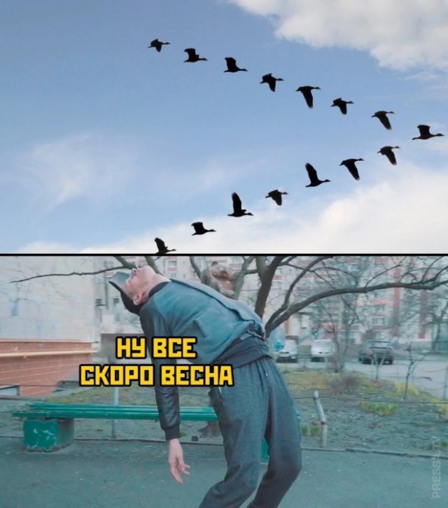 Три десятка забавных картинок на экватор недели