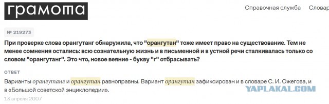 В Малайзии орангутанг зашёл в кафе, взял напиток и ушёл, не заплатив