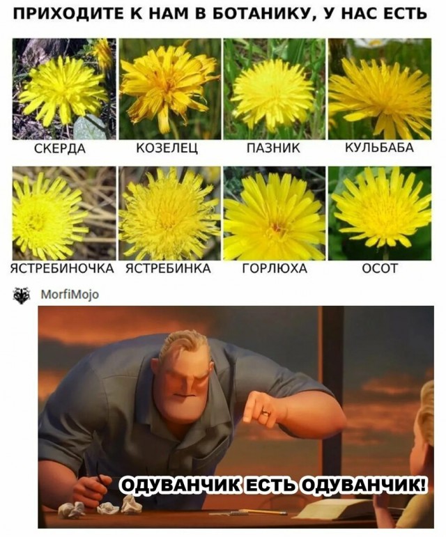 Лосося не существует