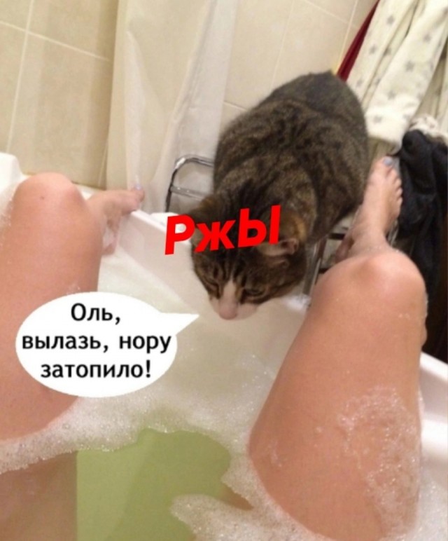 Так себе картинки 20.10.24