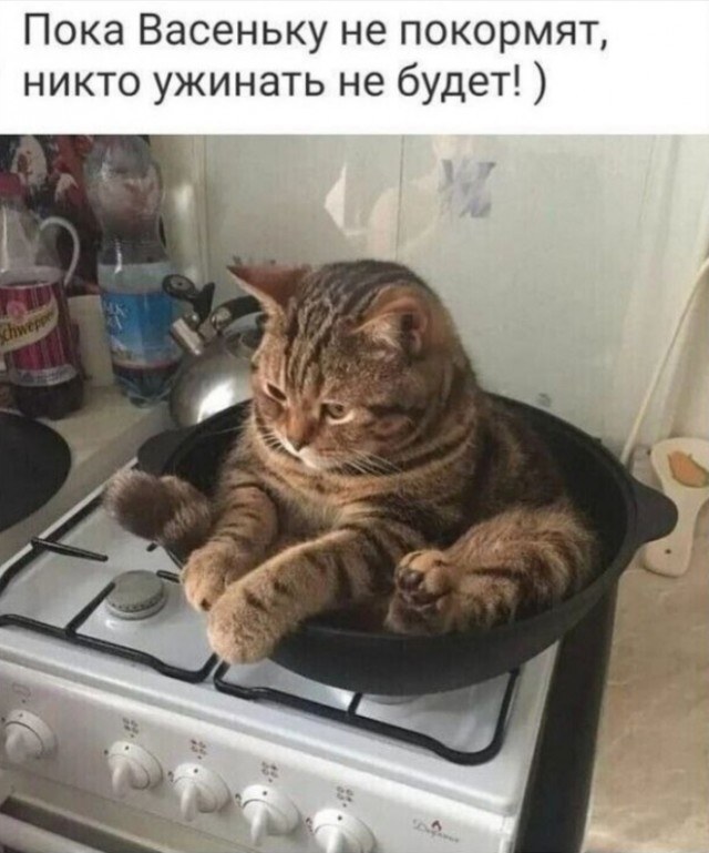 Веселые картинки в пятницу (27.12)