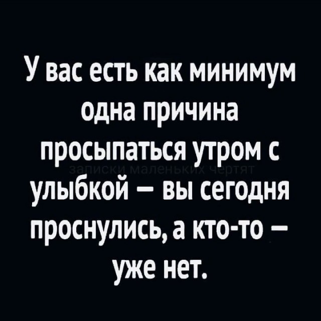 Так себе картинки 20.04.25