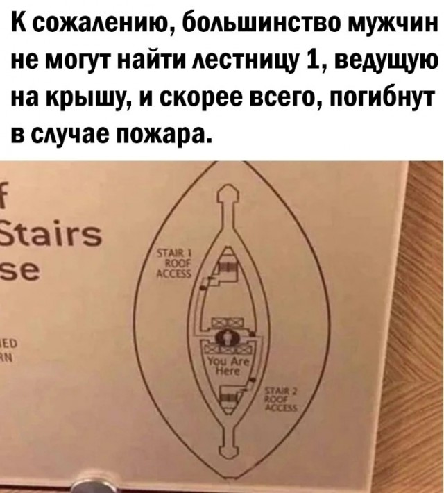 Так себе картинки 13.05.25