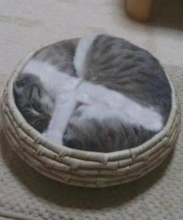 Надо бы занести