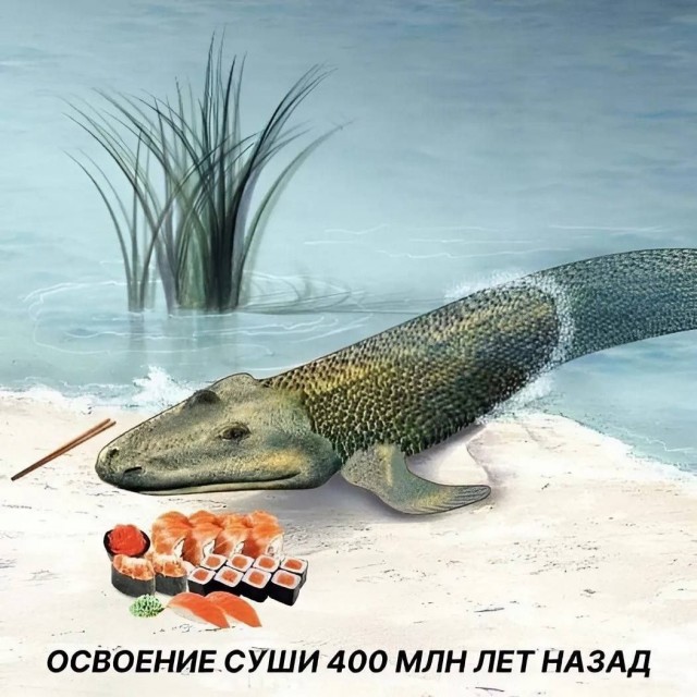 Нуштош 15.08.2025. В доме горит свет (s4e7)