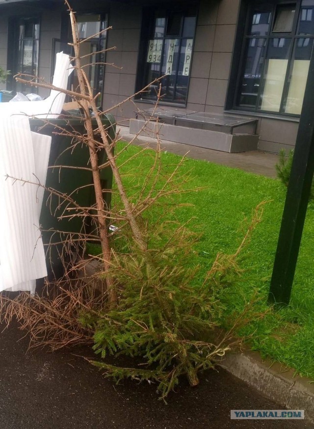 Ещё один сдался