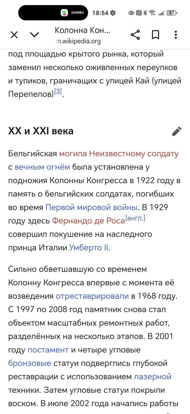 Мигрант пожарил яичницу на Вечном Огне у Могилы Неизвестного Солдата