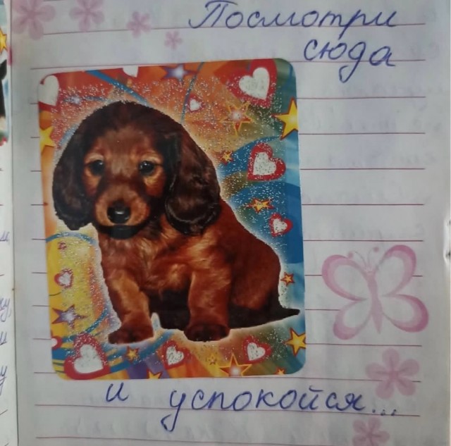 Веселое настроение в картинках (28.09.2025)