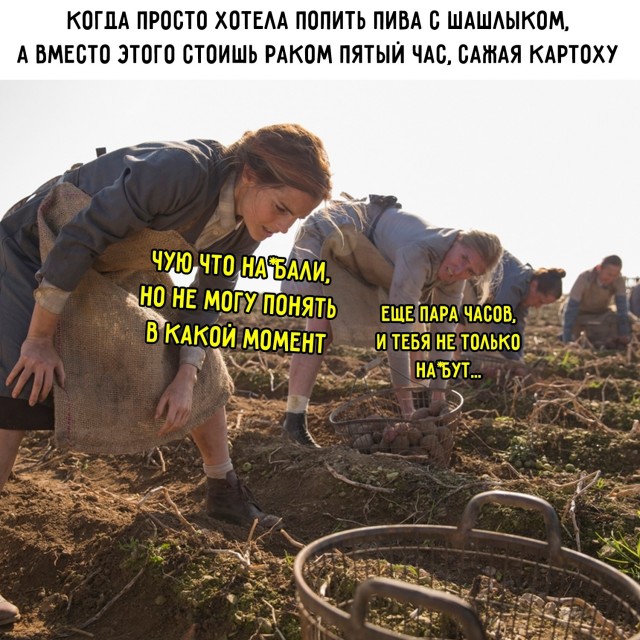 Картинки для деградации 204 (разной степени свежести)