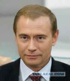 Медвепут