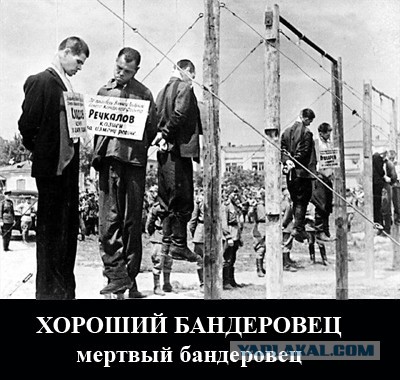 А евреи пусть несут жалобы в гестапо