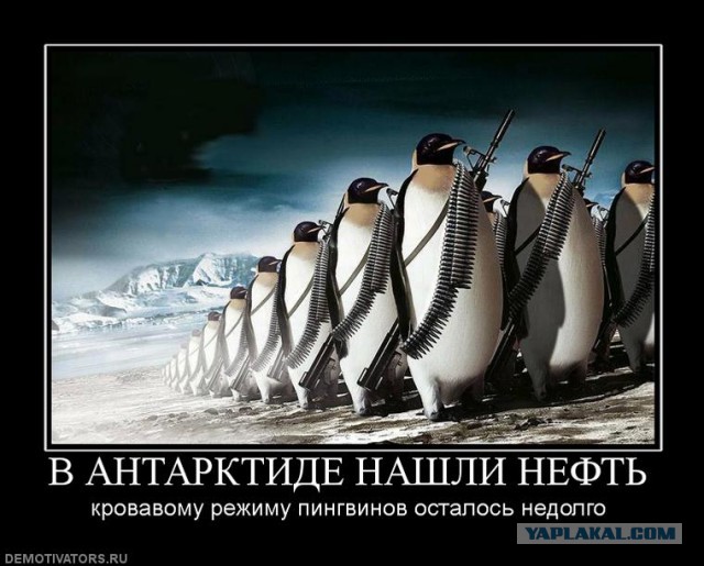 Расмуссен: Россия ввела новый стиль войны