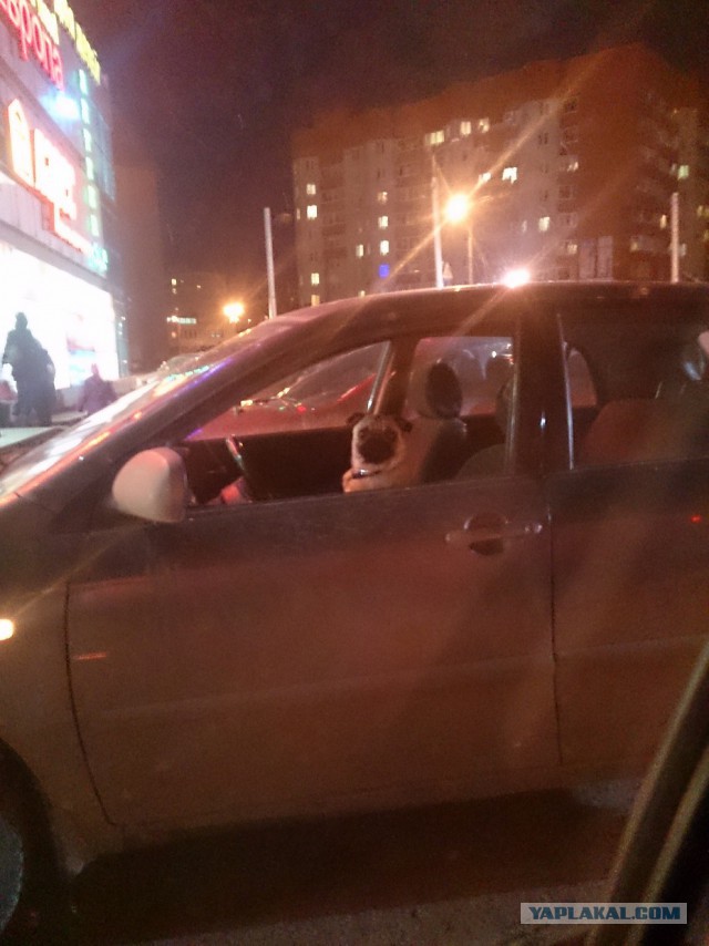Вскрыли сигнализацию на Volvo xc60