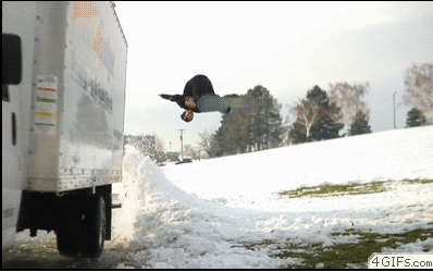 Трюк на 5 баллов!