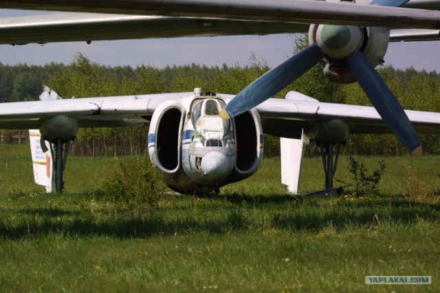 Авиация из музея в Монино