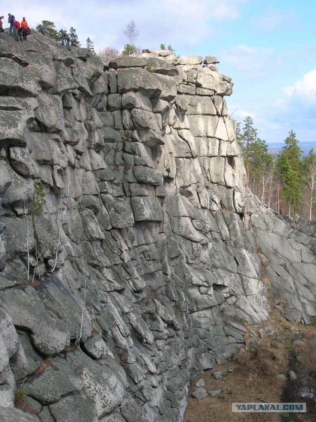 Самый ожидаемый день для Жыпера