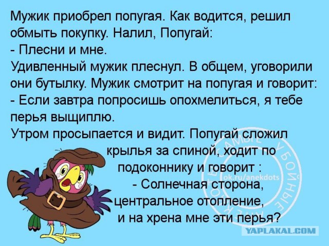Анекдоты в пятницу