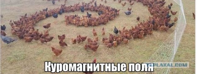 Картинки на среду