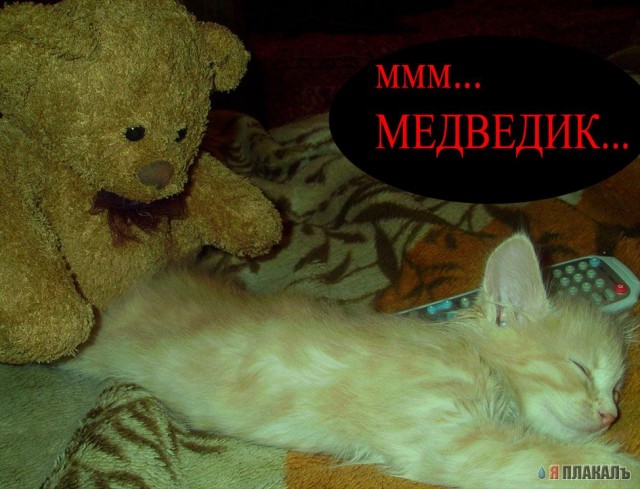 Народный котомет на фторинег