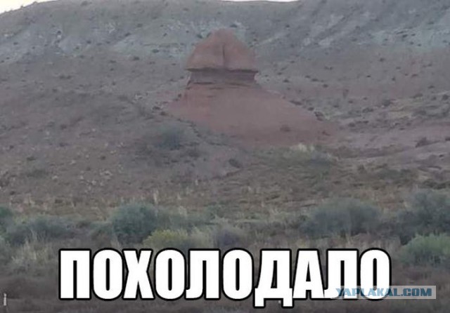 Юмор не для всех