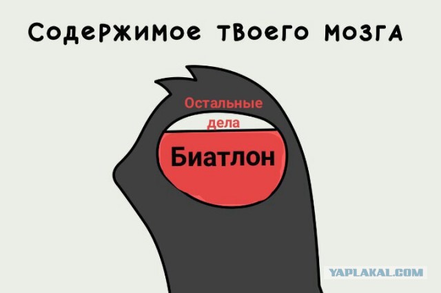 Биатлон. Сезон 2016/2017. Часть 11. Пхёнчхан