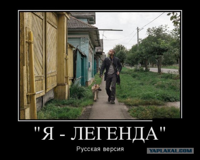 Баяны в чёрных рамках