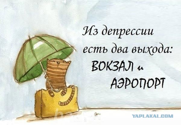 Вектор на отпуск!