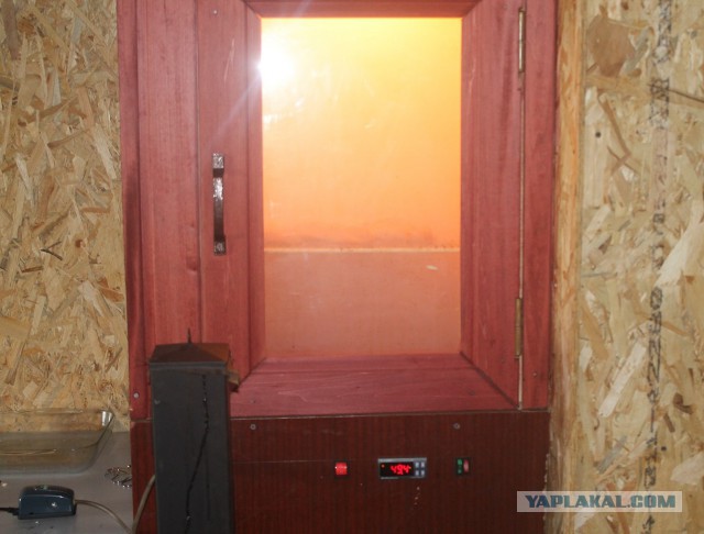 Летнее окрыление!