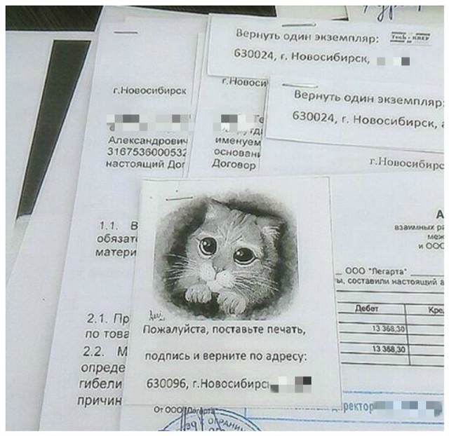 Подборка рекламы, надписей, объявлений и прочего пиару