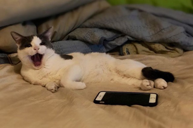 Немного милоты