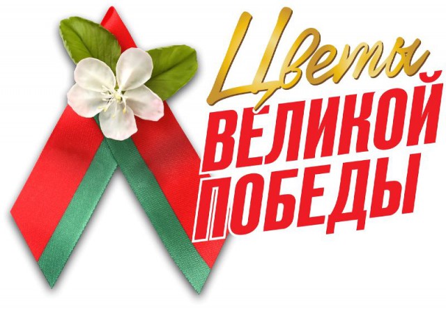 Российские телеканалы: «В Беларуси на людей нападают за то, что они русские».