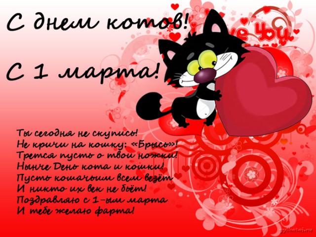 С Днём кошки!