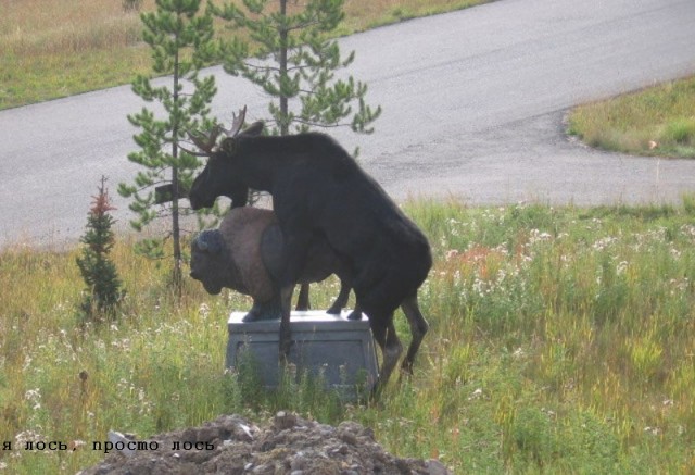 Венцеслав набирает воду в чайник