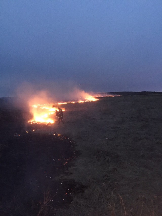 Всем жгущим сухую траву посвящается